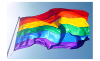 Lesbian Pride LGBT Polyester Colorful Rainbow Flag For Decoration